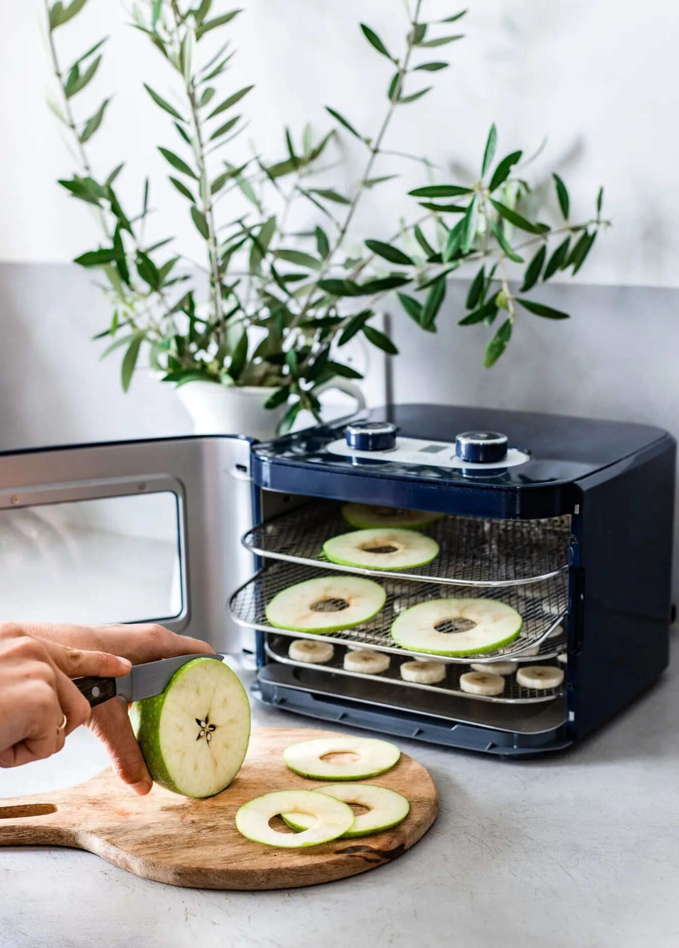Goûter Sain*BÉABA Dry'N'Snack - Deshydrateur Alimentaire Night-Blue